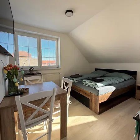 1kk Blizko Prahy Daire